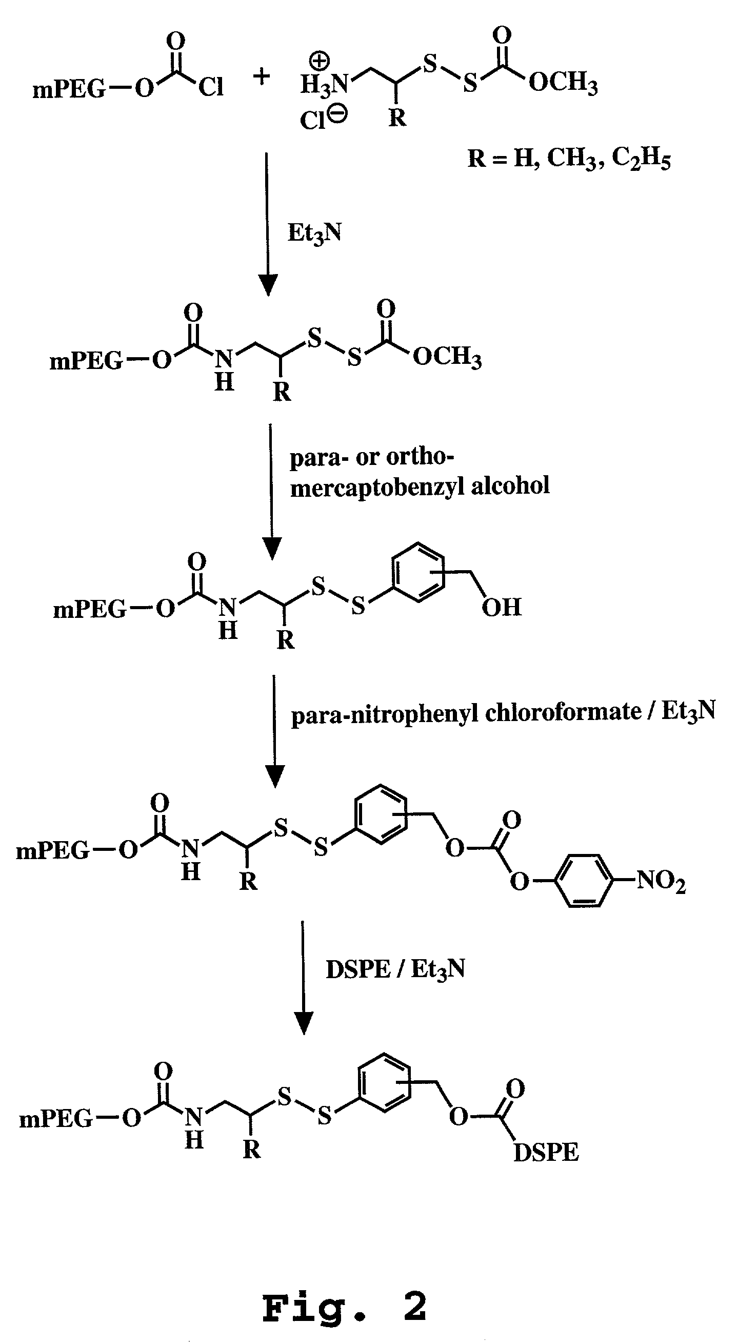 Liposome composition for improved intracellular delivery of a therapeutic agent