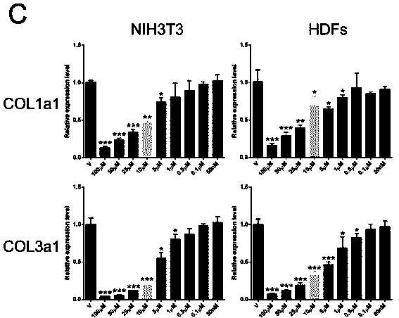 Application of flavonoid quercetin in inhibition of skin scar formation and skin fibration