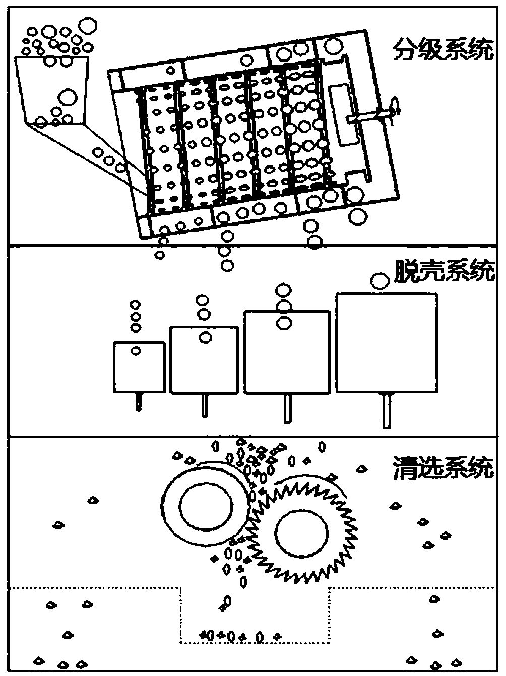 Classified shelling and cleaning machine and method for fresh camellia oleifera fruit