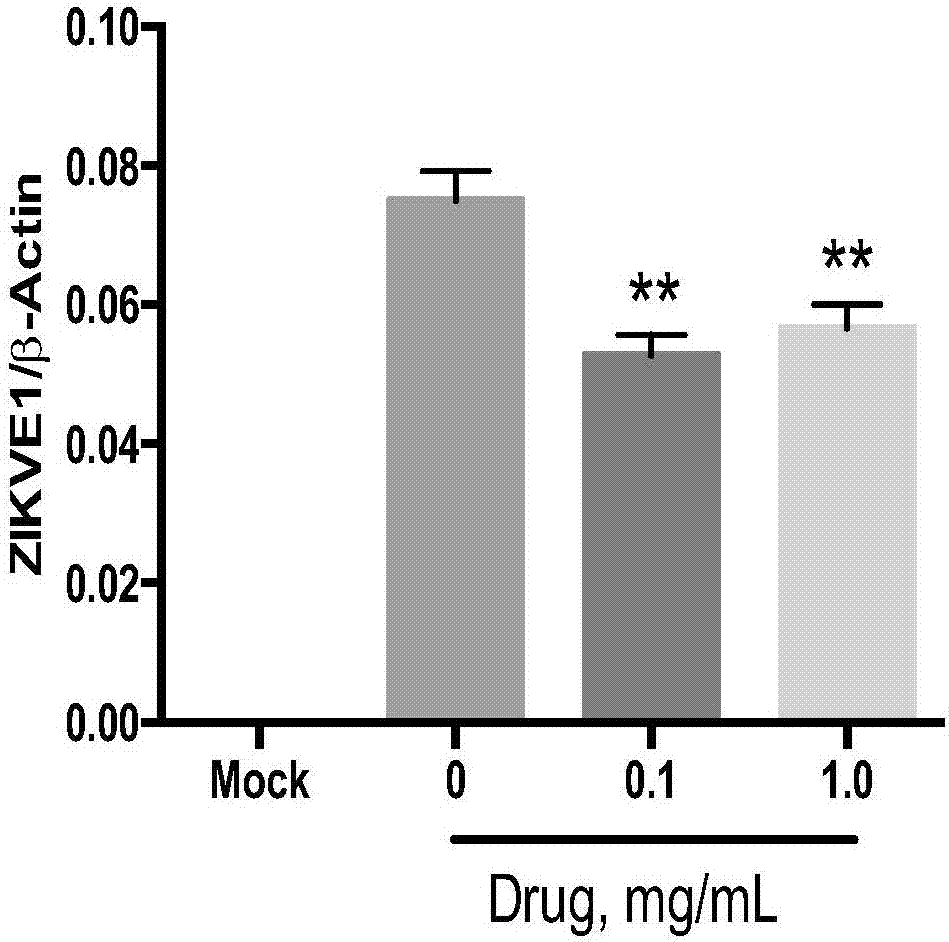 Antiviral traditional Chinese medicine composition and preparation method and application thereof