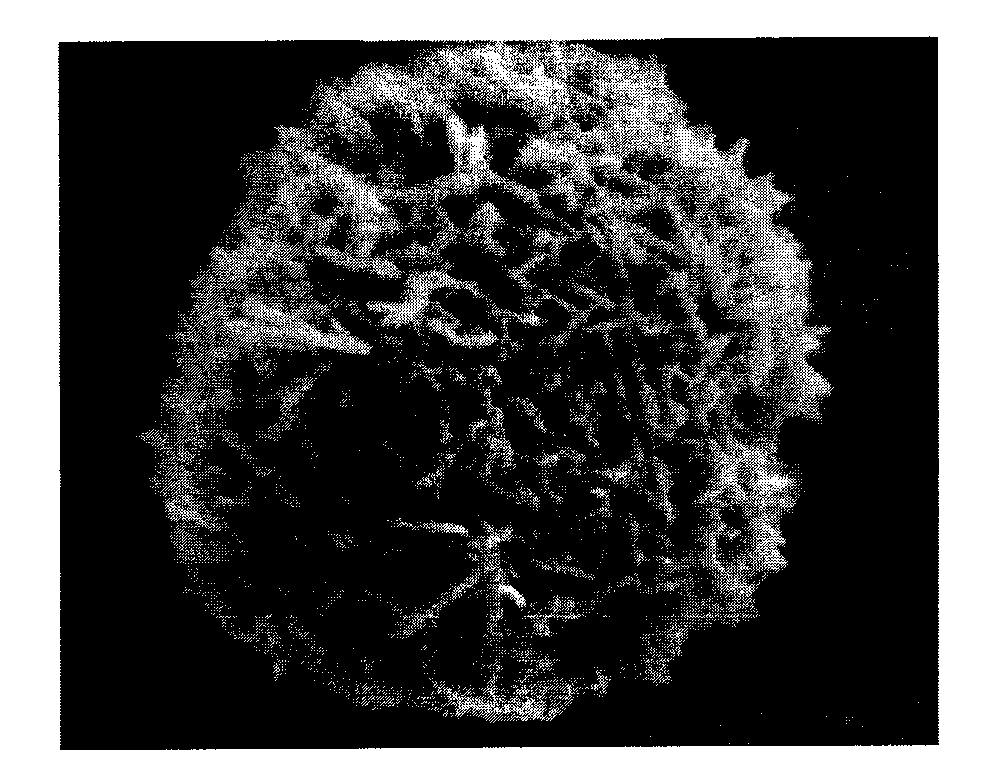 Preparation method of lanthanum-doped zinc oxide microsphere with wave absorbing performance