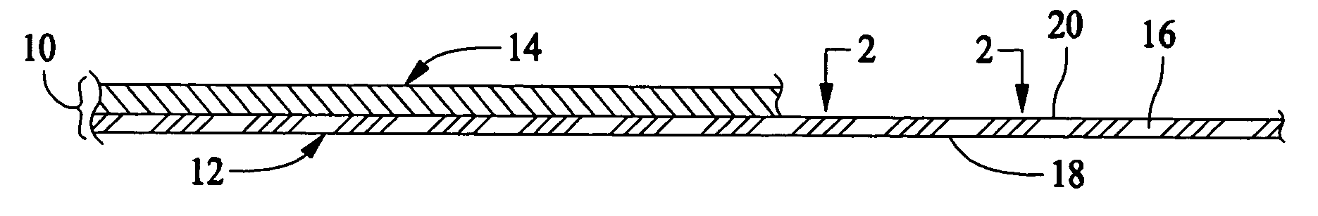 Composite article having hydrophilic properties and method of manufacture