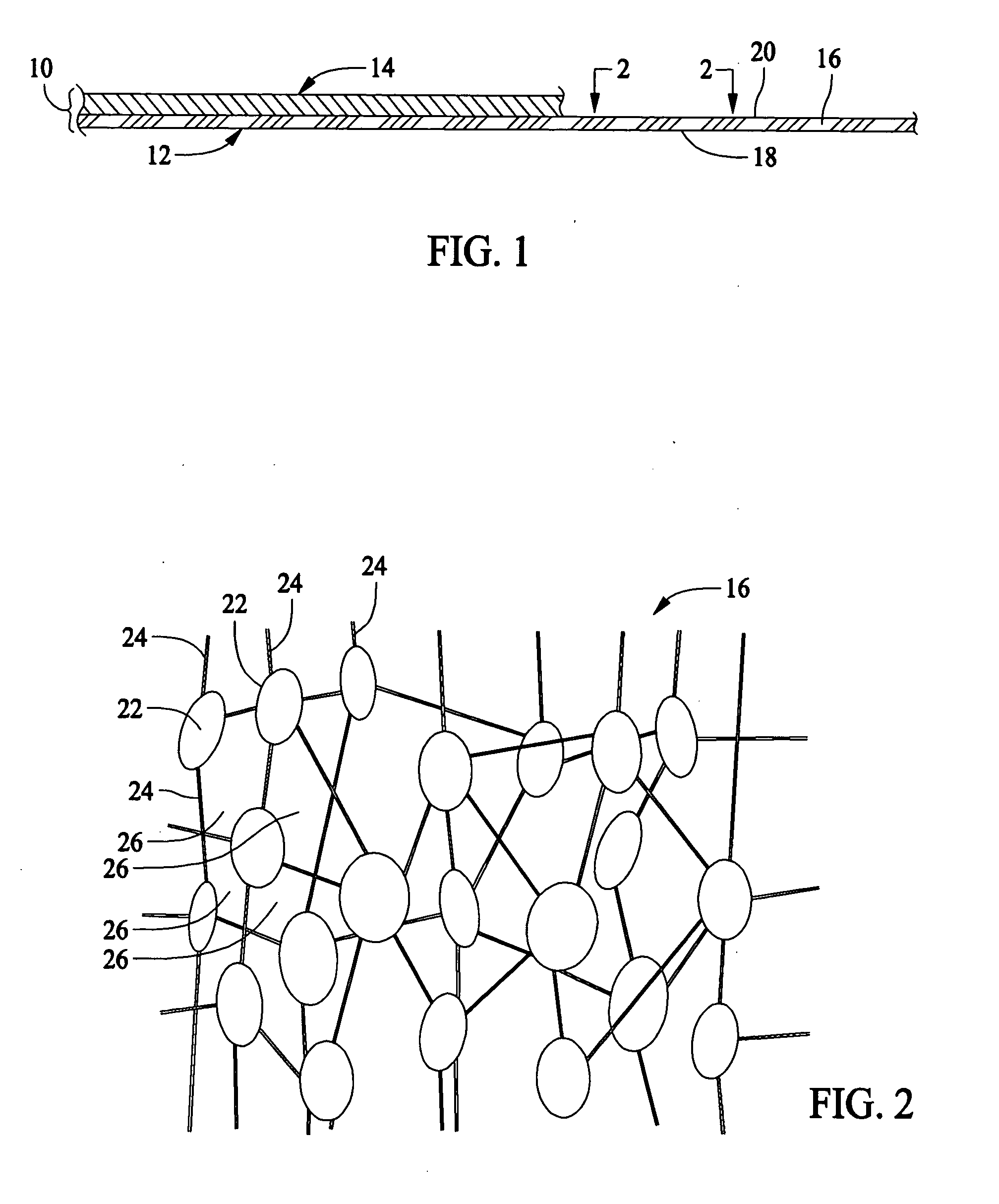 Composite article having hydrophilic properties and method of manufacture