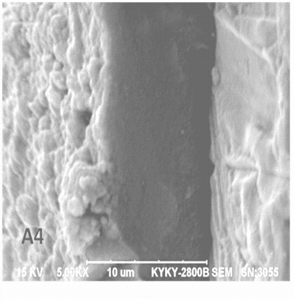 Preparation method of sodalite zeolite membrane