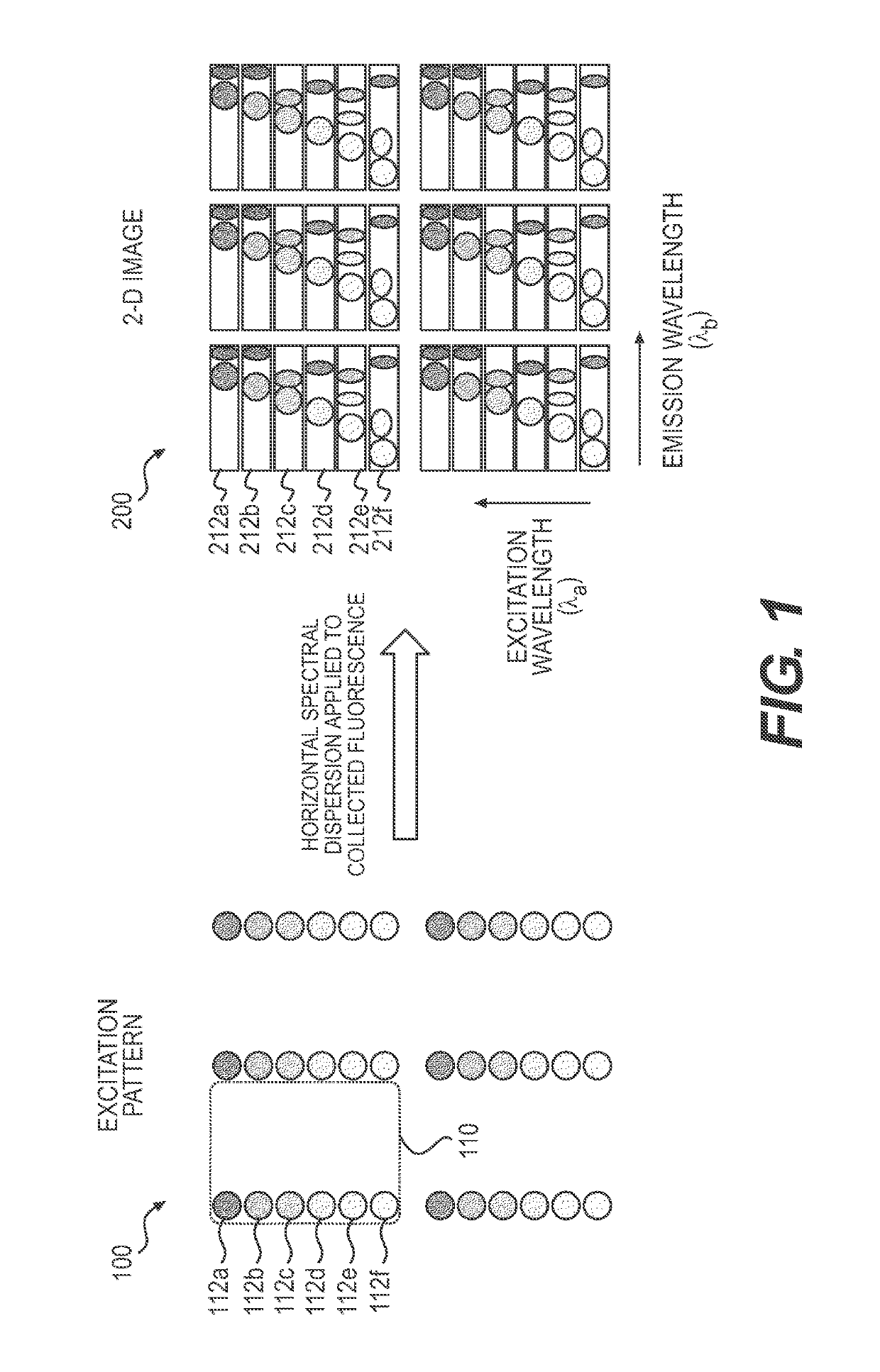 Systems and methods for 4-D hyperspectral imaging