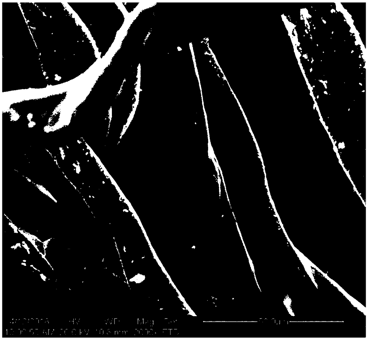 Antibacterial modification method of polymer materials