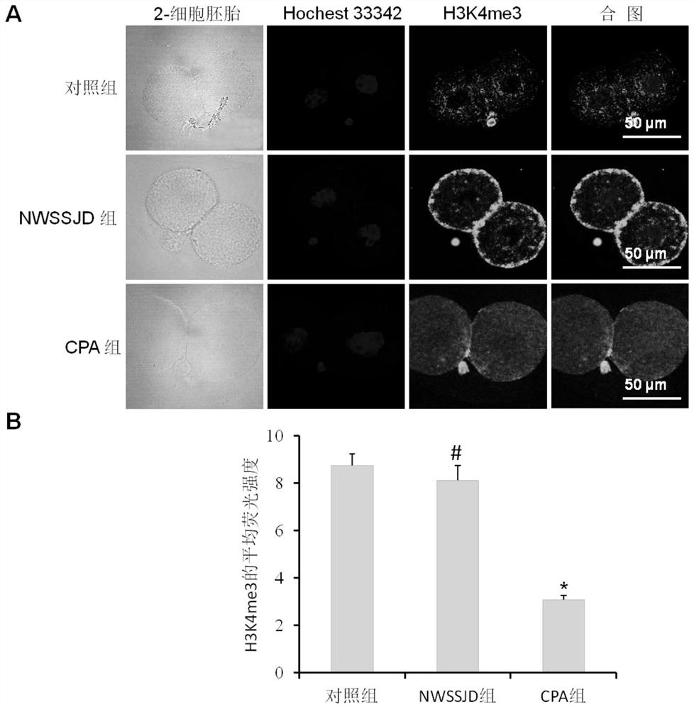 Application of New Wenshen Shengjing Decoction (NWSSJD) as medicine for regulating expression level of H3K4me3