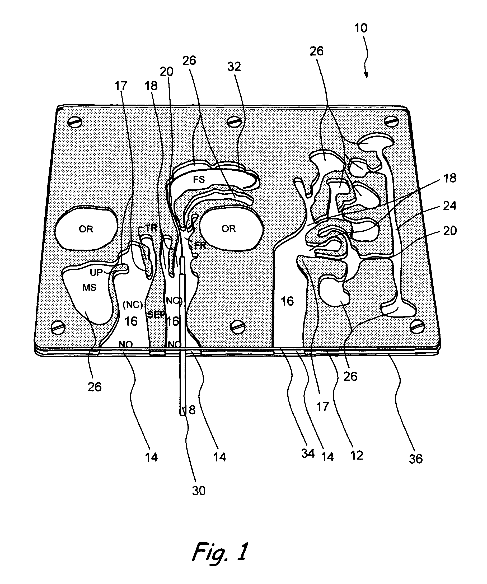 Apparatus and method for simulated insertion and positioning of guidewares and other interventional devices