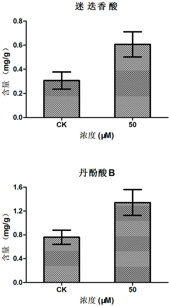 Method for promoting accumulation of rosmarinic acid and salvianolic acid B in Salvia miltiorrhiza hairy roots