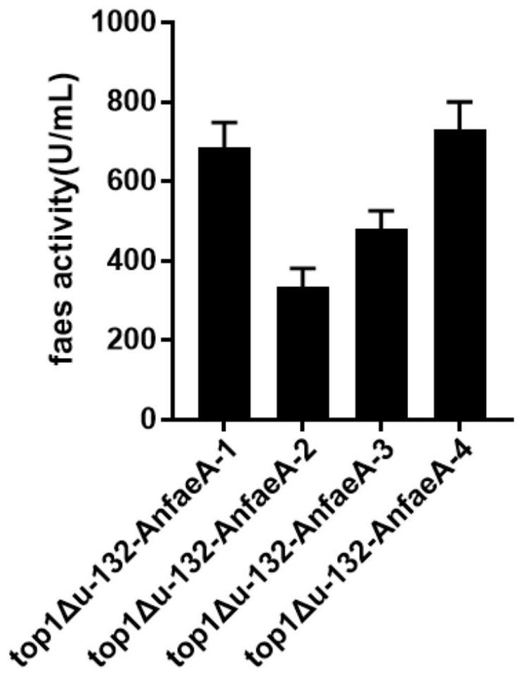 Recombinant expression strain, preparation method and application of ferulic acid esterase