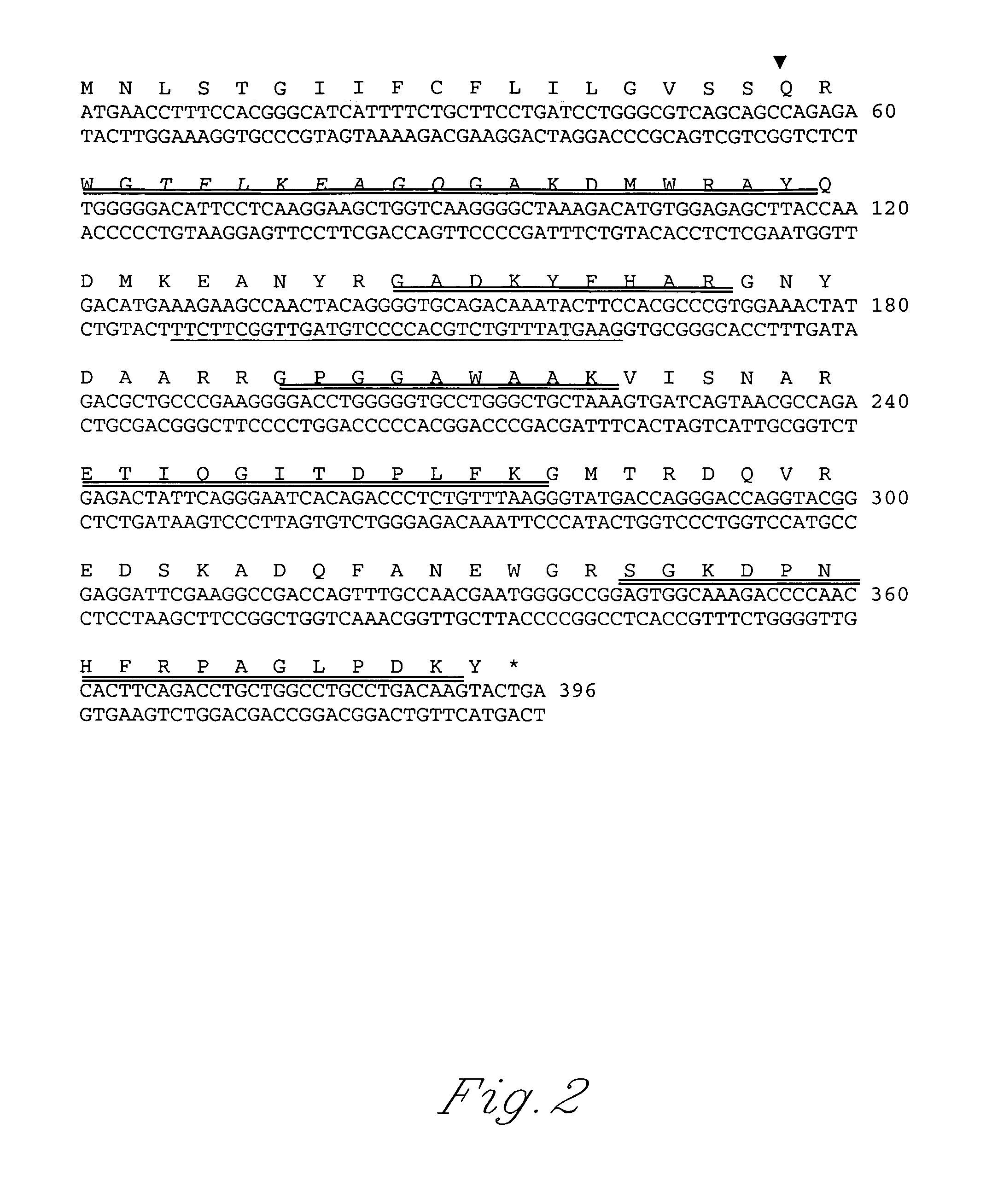 Genomic mammary Amyloid a sequence