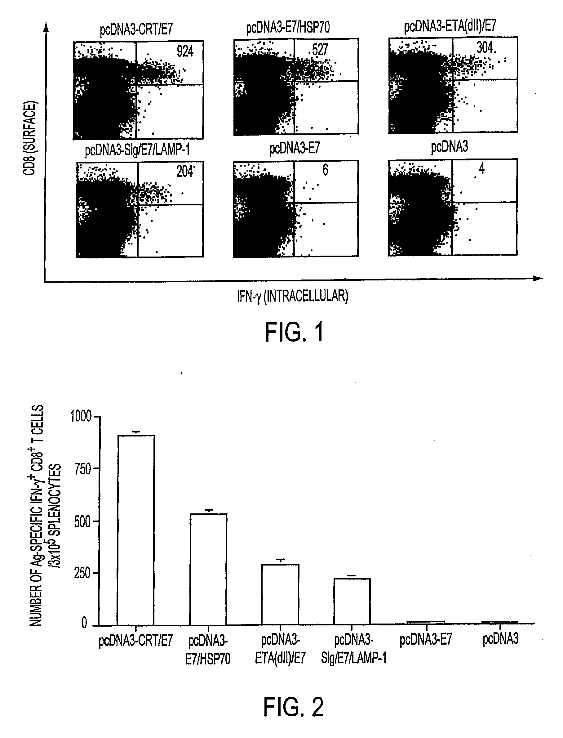 Anti-cancer DNA Vaccine Employing Plasmids Encoding Mutant Oncoprotein Antigen and Calreticulin