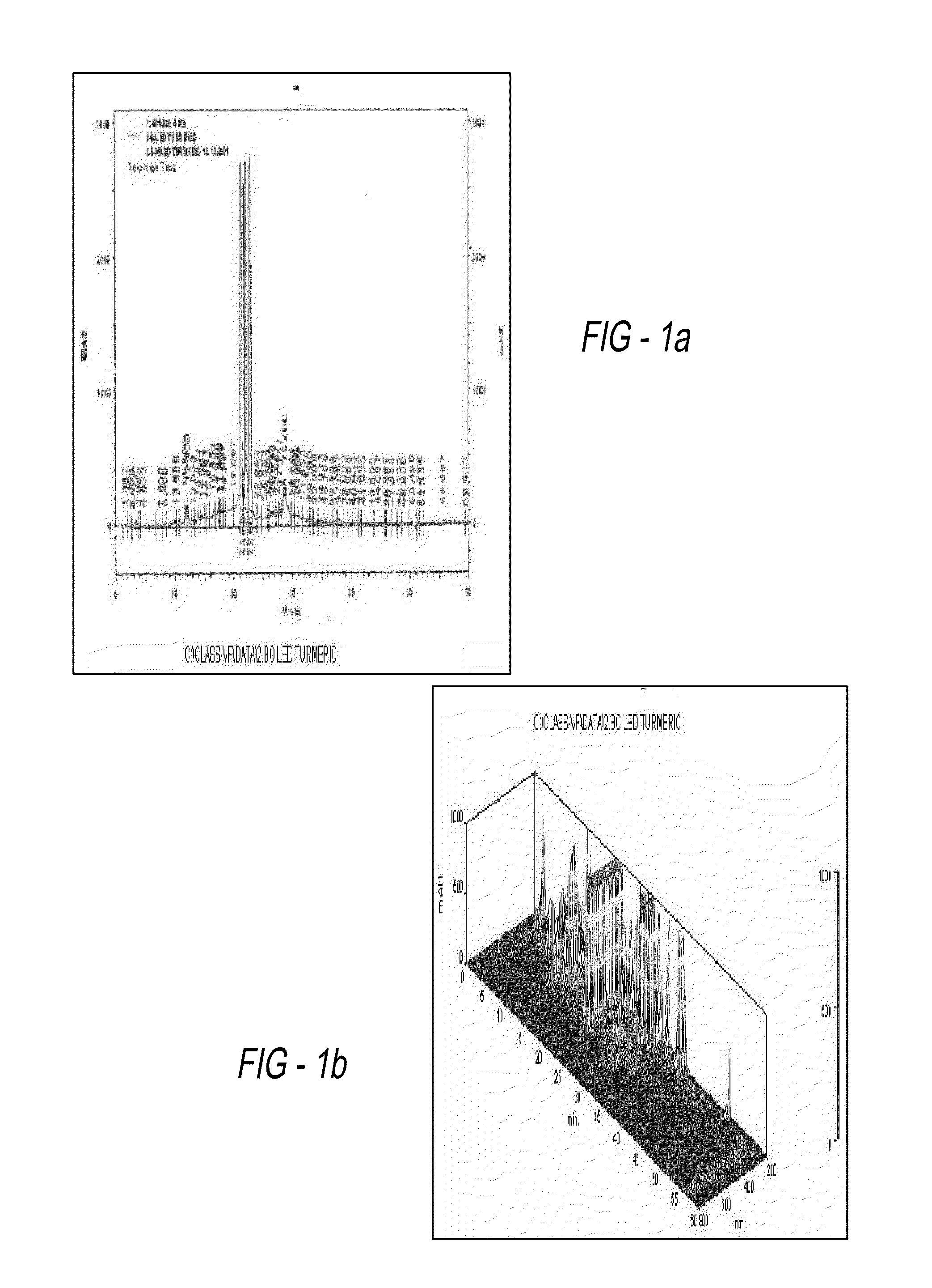 Method for standardization of chemical and therapeutic values of foods and medicines using animated chromatographic fingerprinting