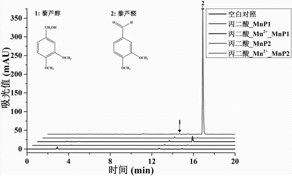 Method for degradation of non-phenolic lignin