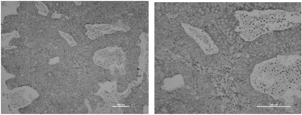 Molecular marker CD71 and applications in diagnosis, staging and prognosis of endometrial carcinoma