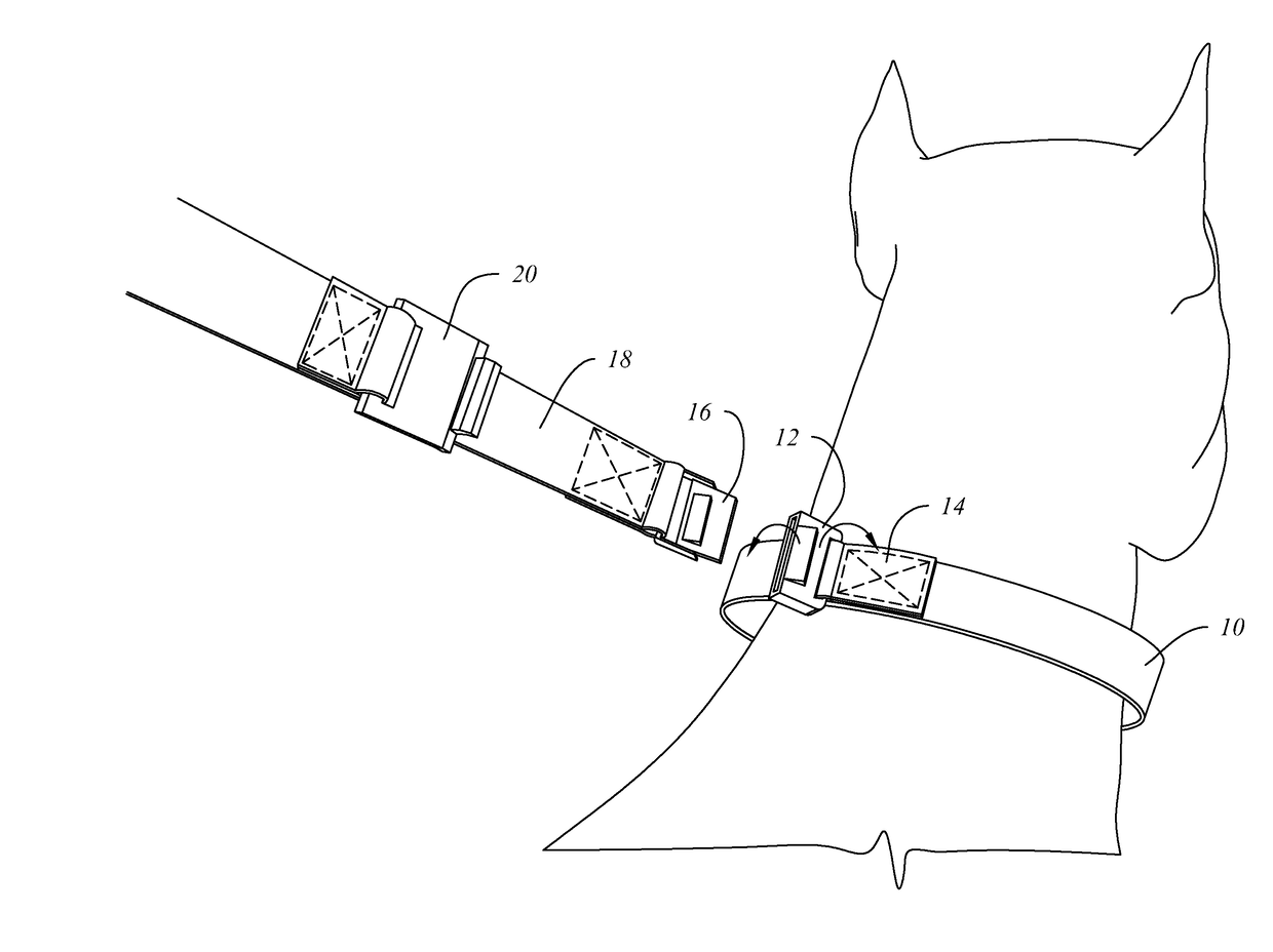 Leash Attachment System for Dog Collar or Harness