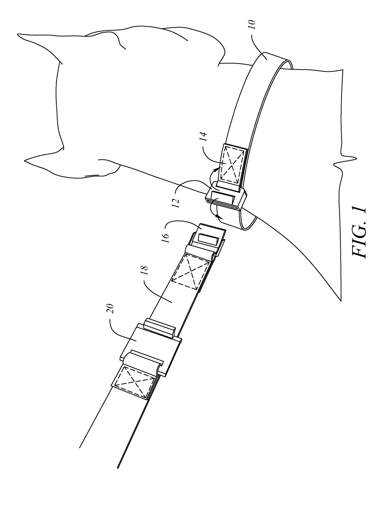 Leash Attachment System for Dog Collar or Harness