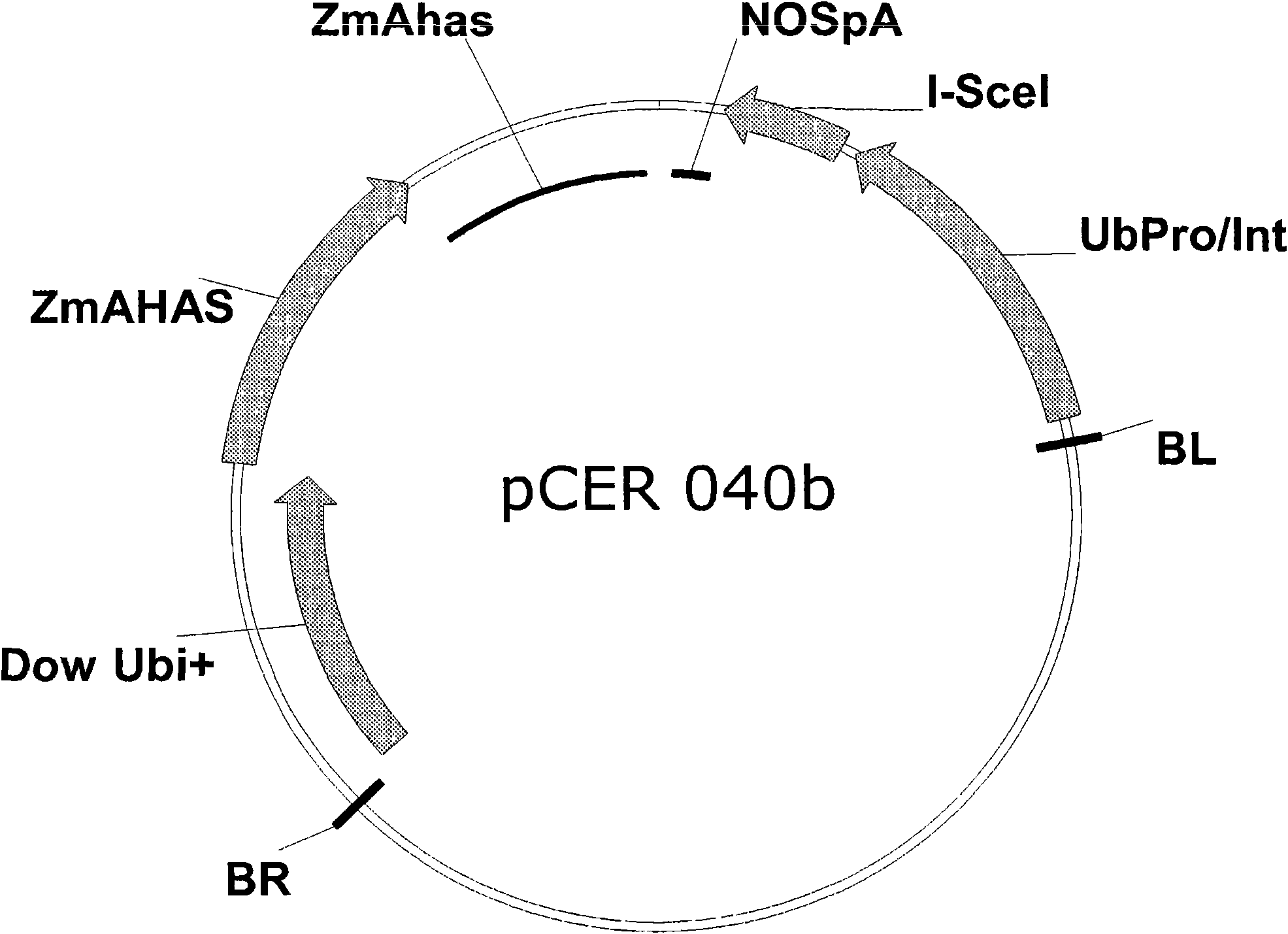 Method of excising a nucleic acid sequence from a plant genome