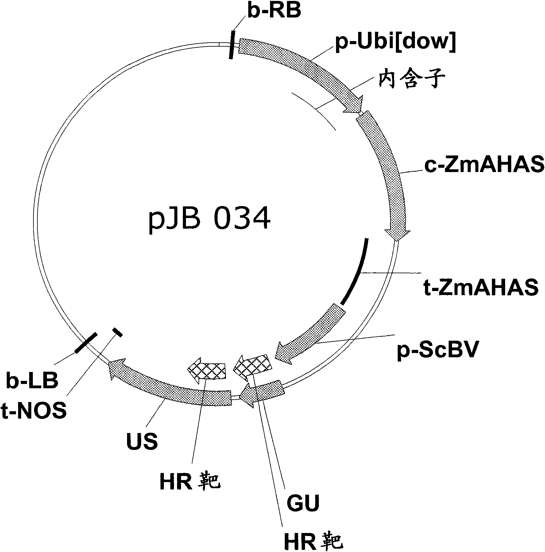 Method of excising a nucleic acid sequence from a plant genome