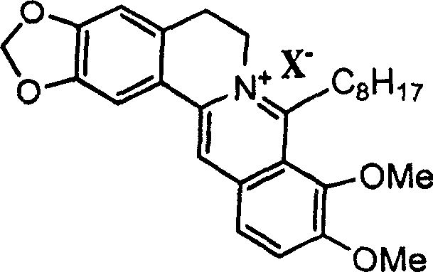 8-octyl berberine hydrochloride and its synthesis process and application