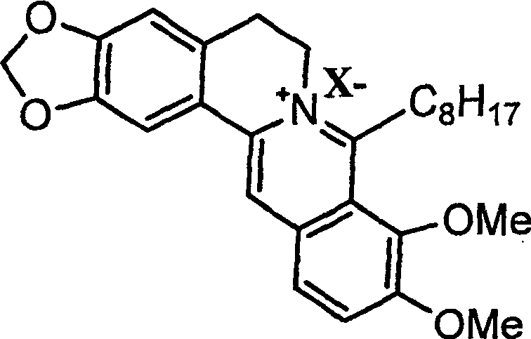 8-octyl berberine hydrochloride and its synthesis process and application