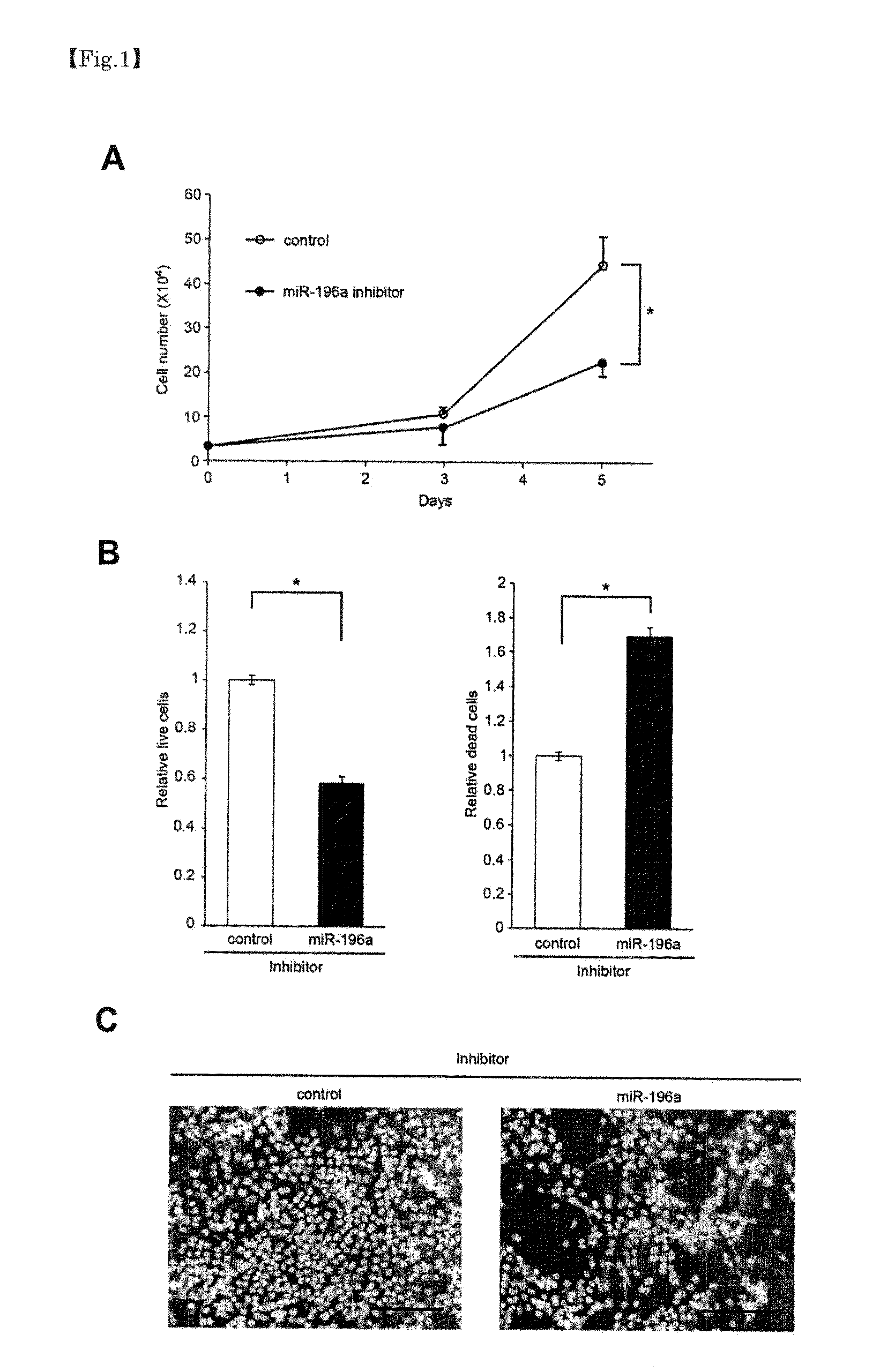 Head-And-Neck Tumor Proliferation Inhibitor