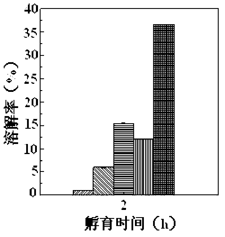 Method for promoting excess sludge microorganisms to hydrolyze by using thermophilic geobacillus sp