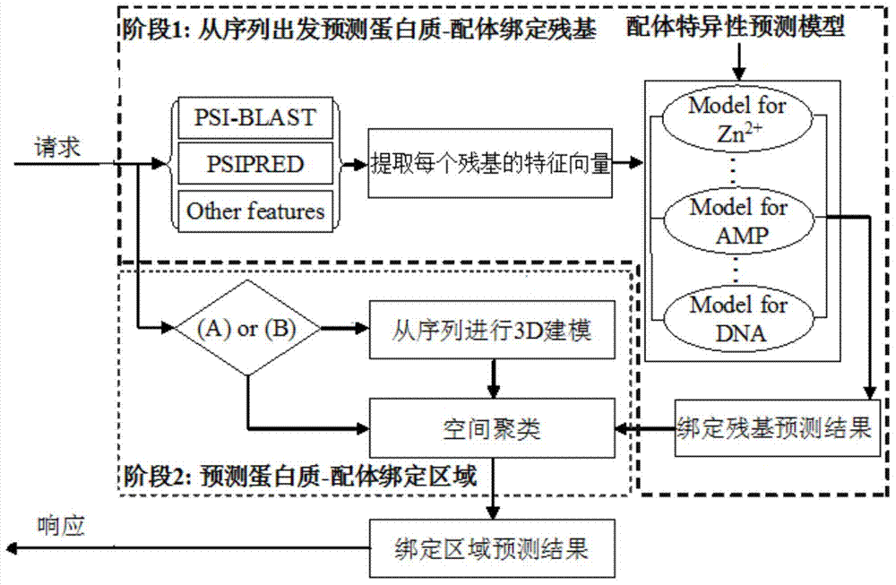 Ligand specificity protein-ligand binding area forecasting method