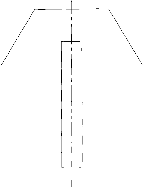 Electric field strengthening two-phase anaerobic reactor