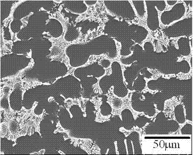 Method for modifying rare earth Y to AlSi7Mg alloy