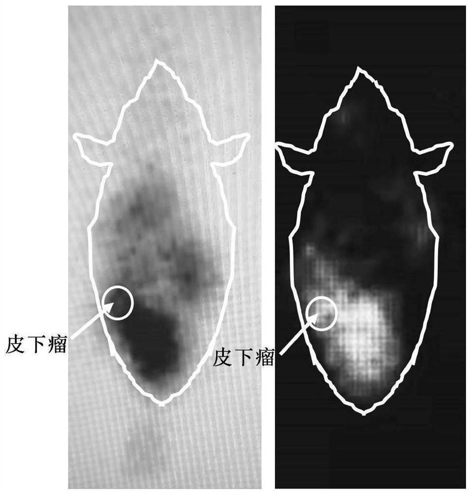 A specific targeting radionuclide marker and its preparation method and application