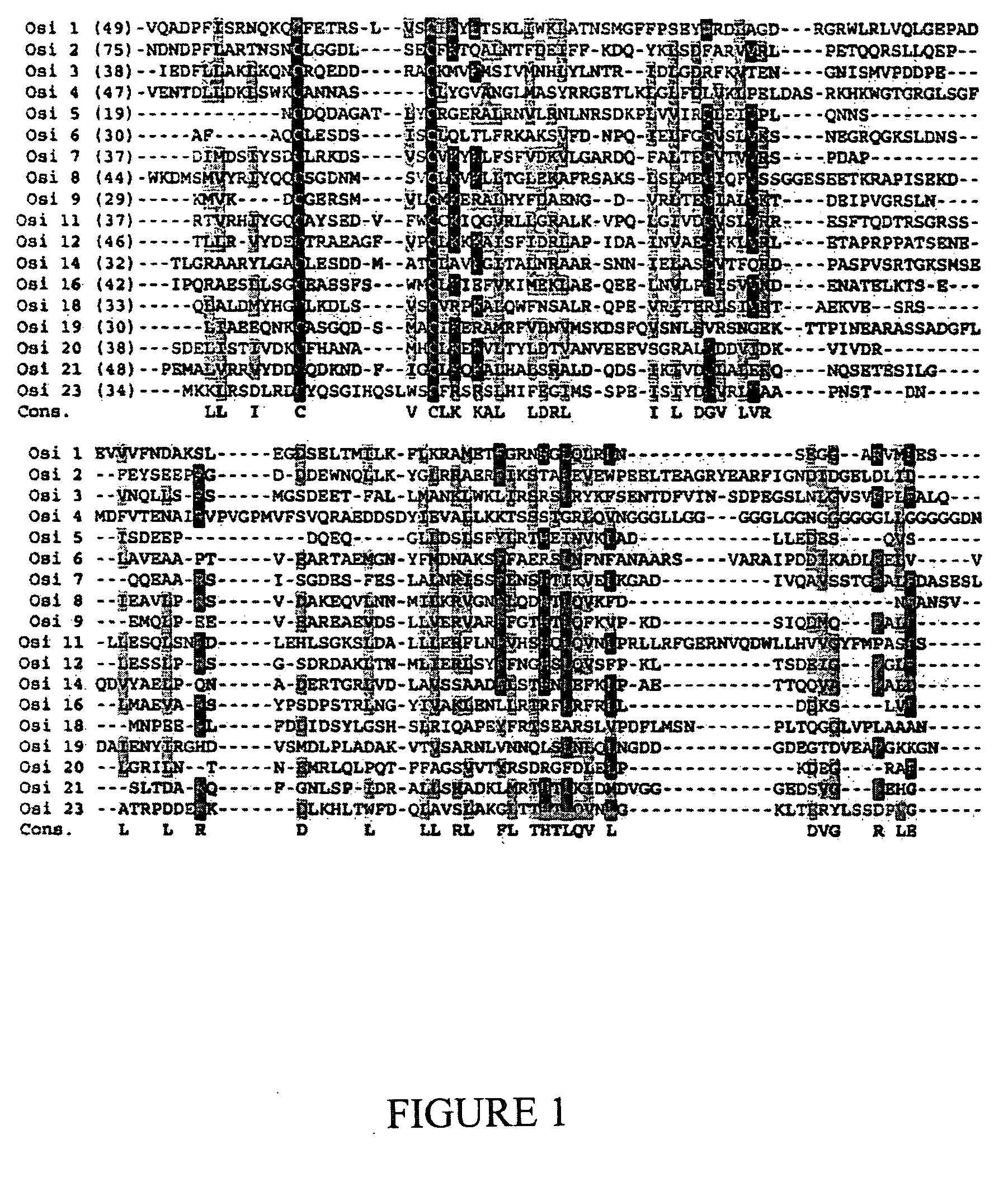 Nucleic acid sequences found in Drosophilia melanogaster that encode proteins essential for viability and method of use