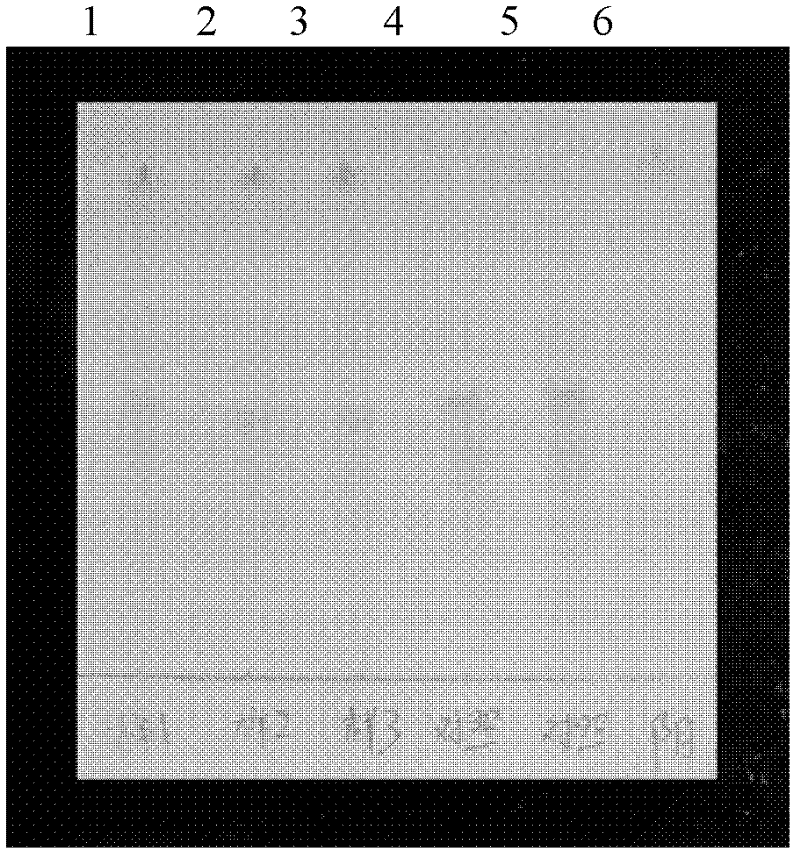 Detection method of Jiuwei Zhuhuang preparation