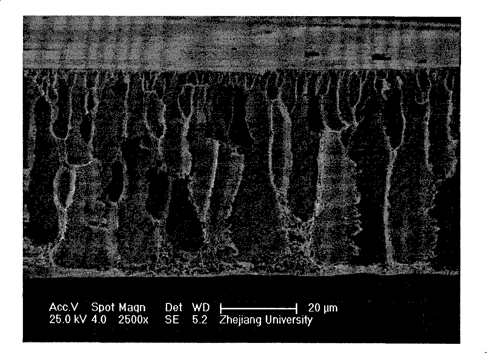 Method for preparing hydrophilic polyvinyl chloride alloy ultrafiltration membrane