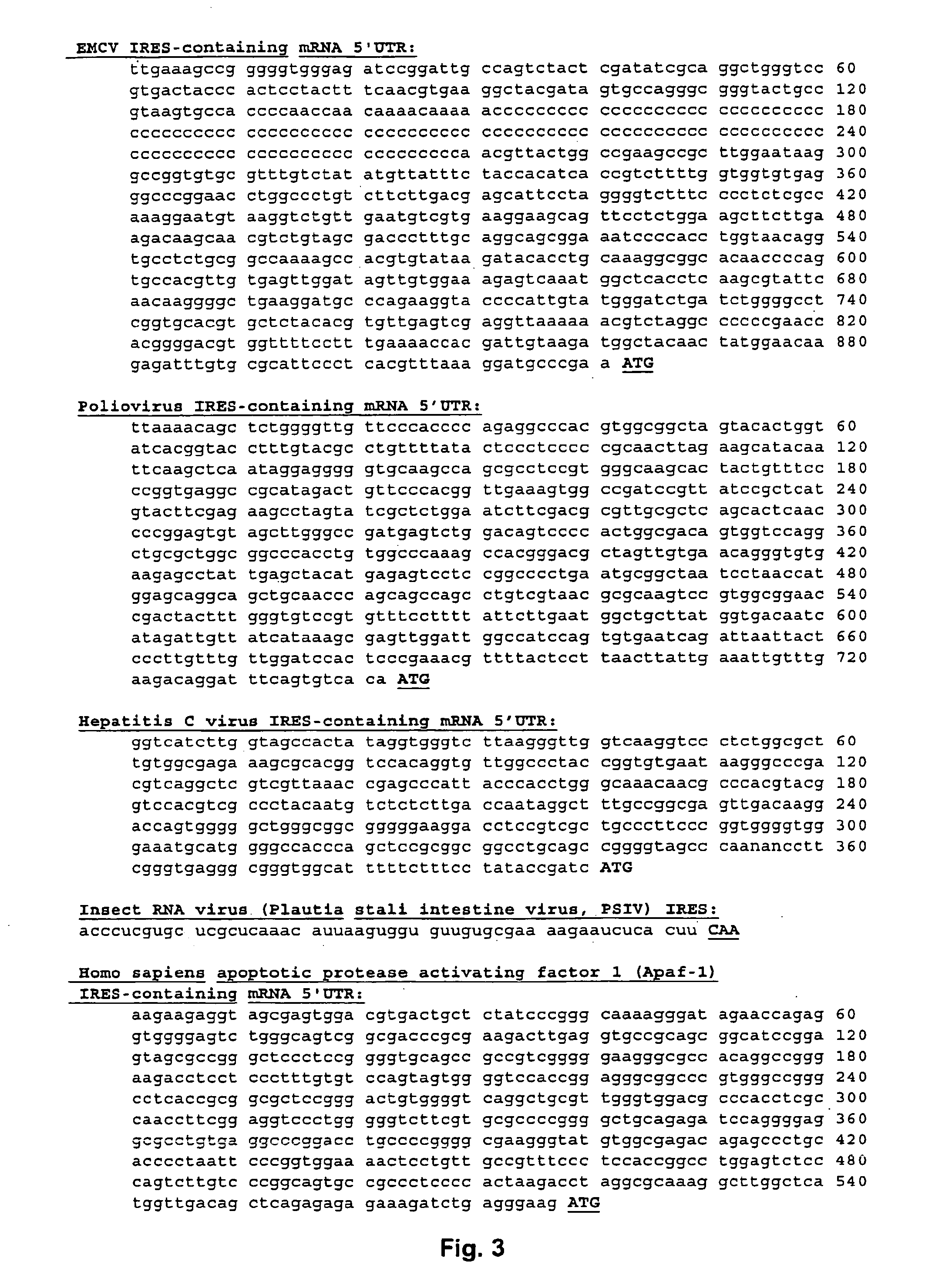 Creation of artificial internal ribosome entry site (ires) elements