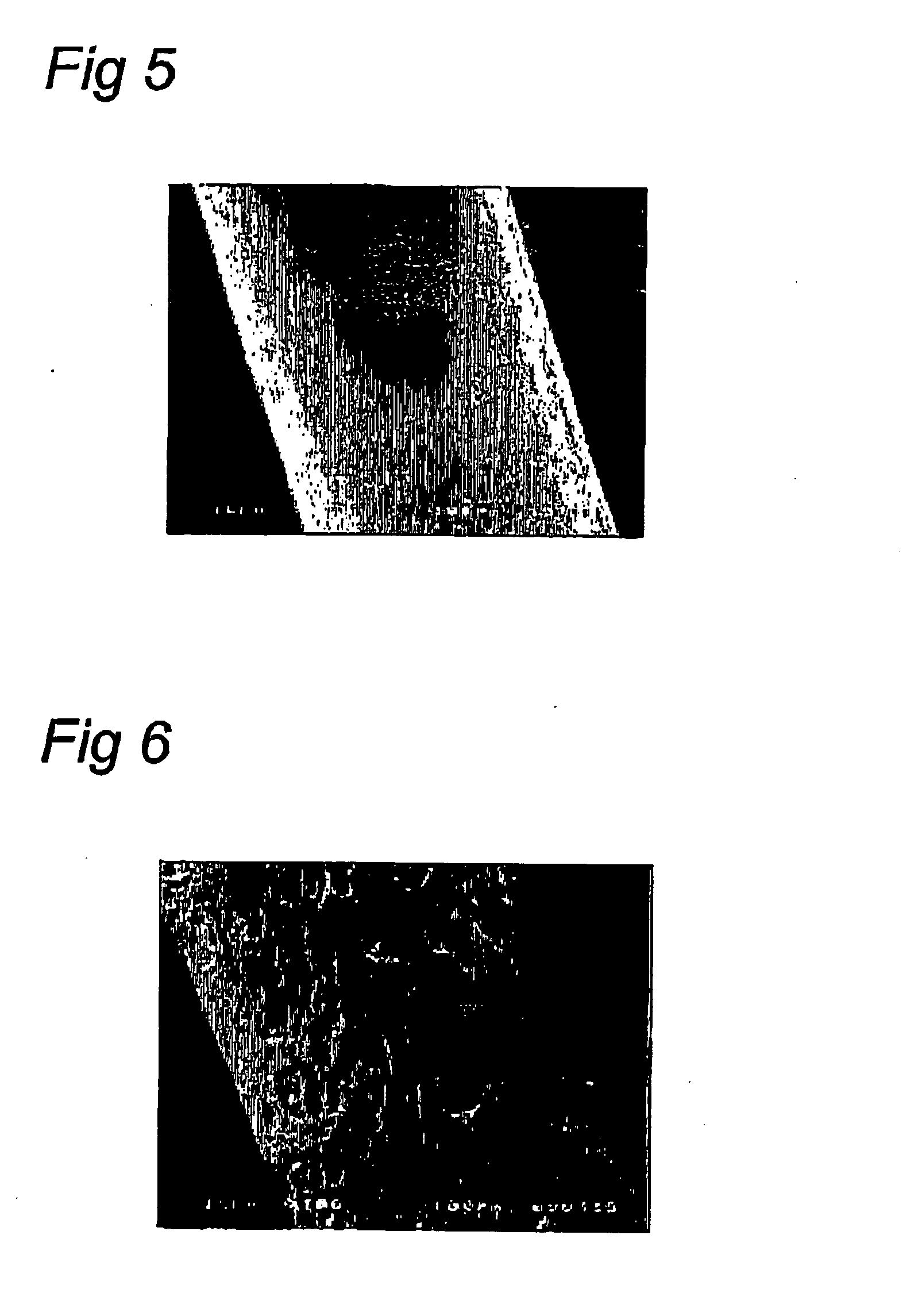 Functional porous fibres