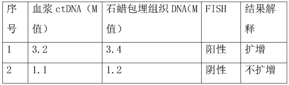 Method and detection kit for detecting ERBB2 gene amplification based on digital PCR technology