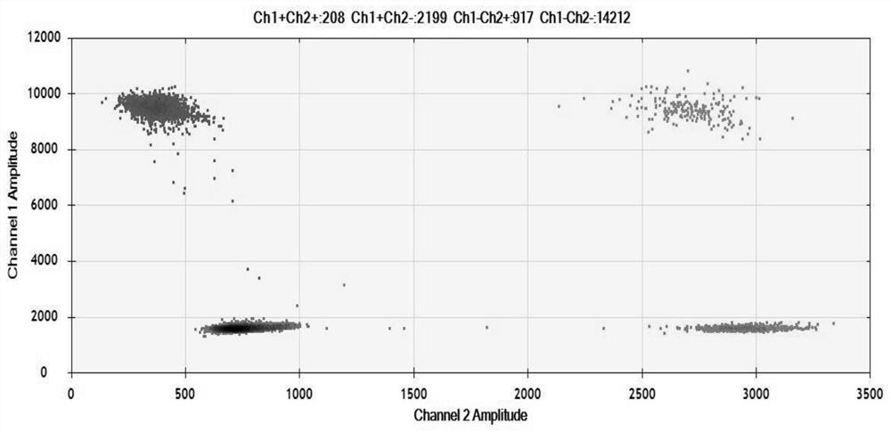 Method and detection kit for detecting ERBB2 gene amplification based on digital PCR technology