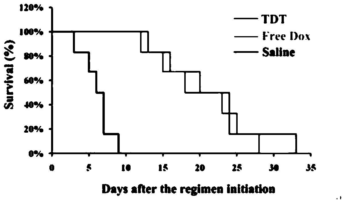 Construction and application of nucleic acid aptamer that can bind to CD123 and its targeted drug delivery system