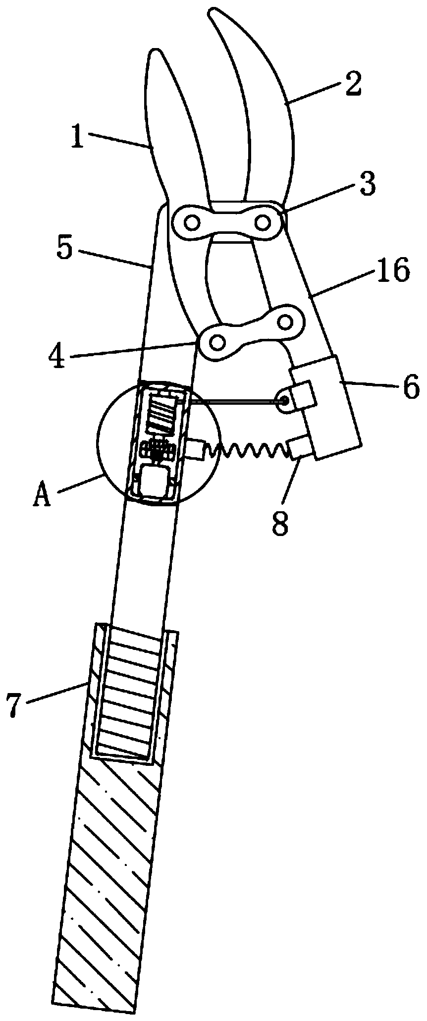 Novel garden large tree trimming tool