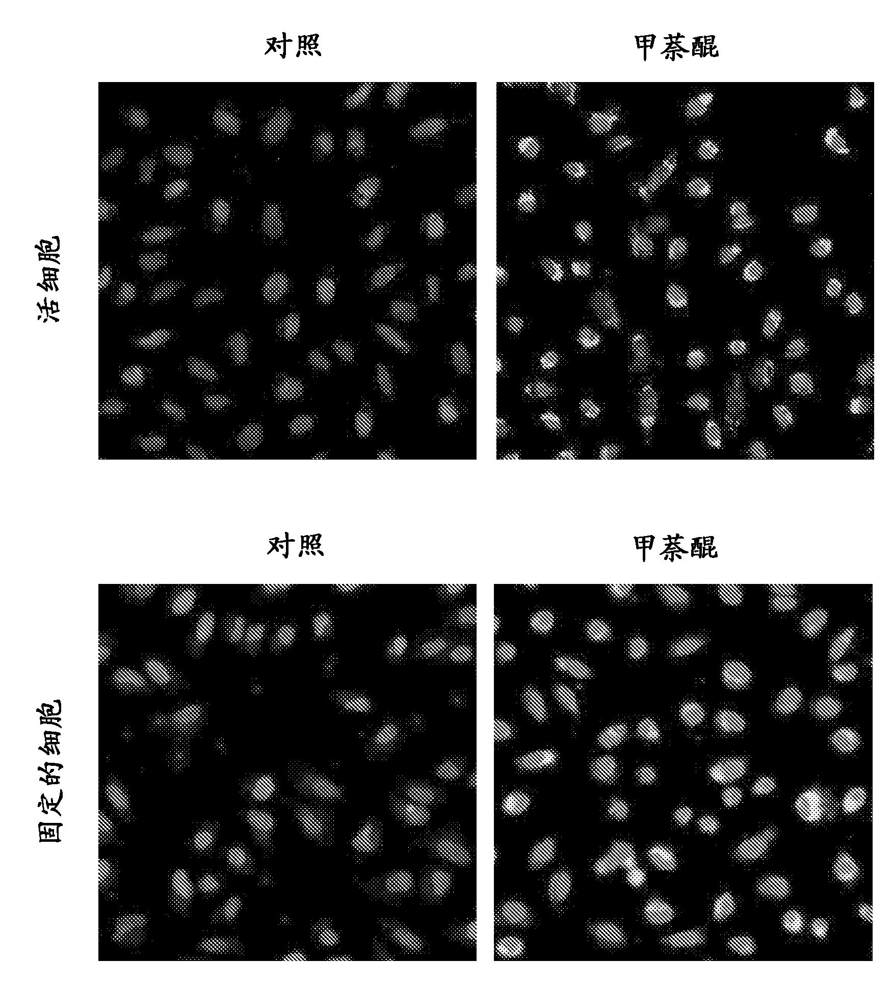 Modified hydrocyanine dyes for the detection of reactive oxygen species