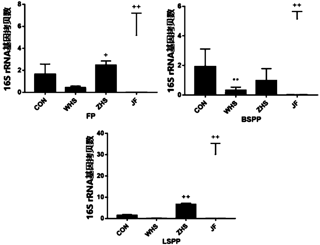 Low-fat inulin and peanut flavoring sauce and preparation method thereof