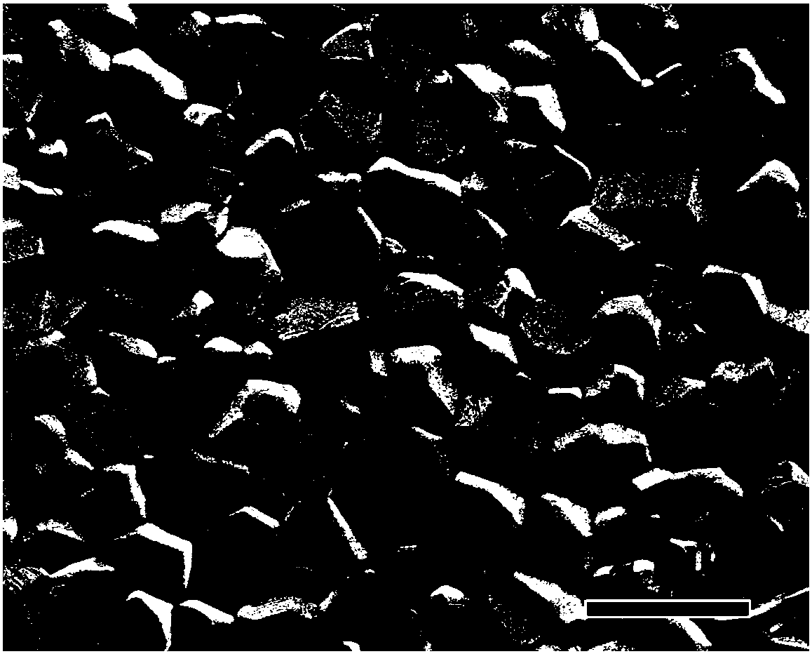 Silicon-containing grain boundary phase modified hydroxyapatite ceramic, bone injury repair material and preparation method of hydroxyapatite ceramic