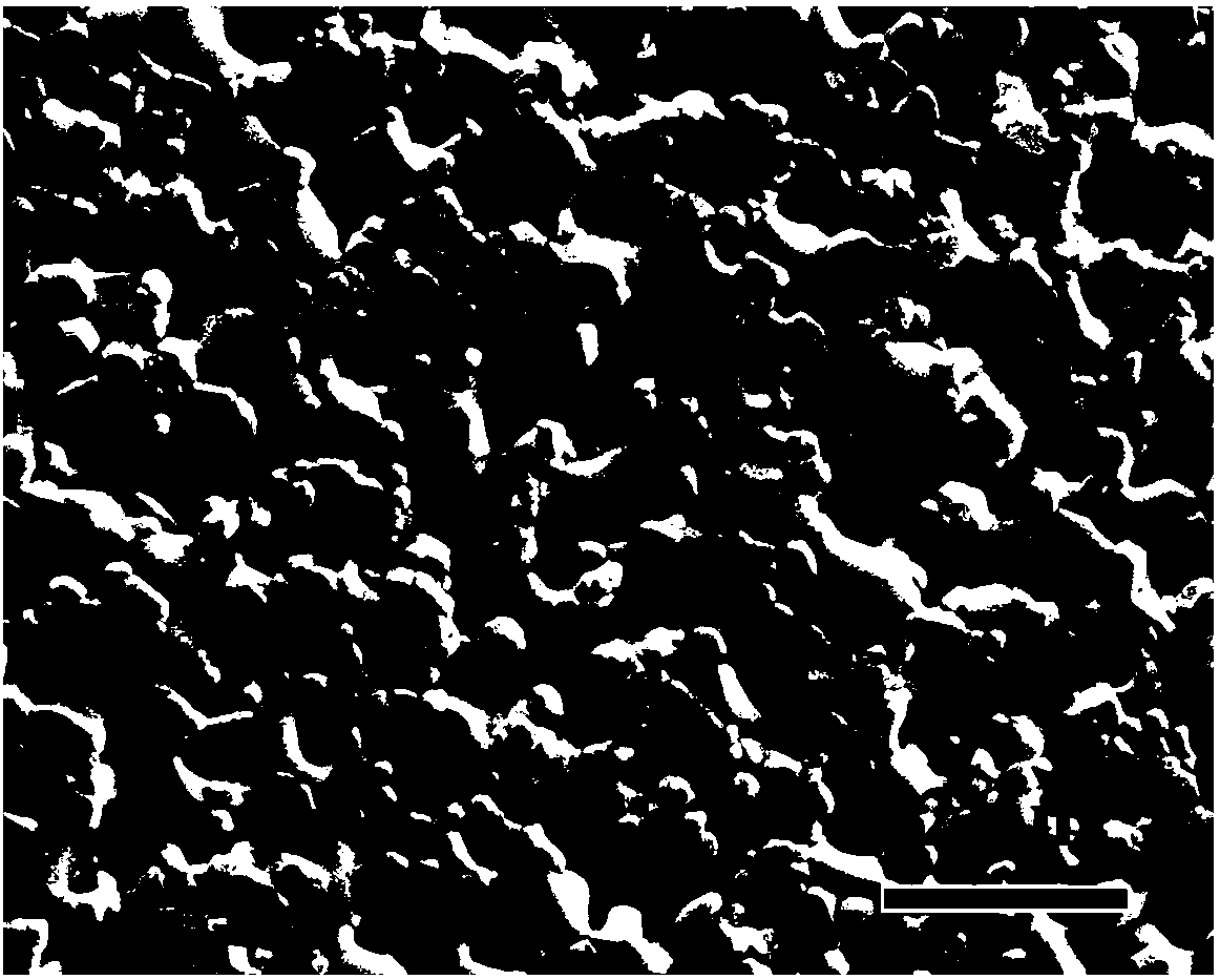 Silicon-containing grain boundary phase modified hydroxyapatite ceramic, bone injury repair material and preparation method of hydroxyapatite ceramic