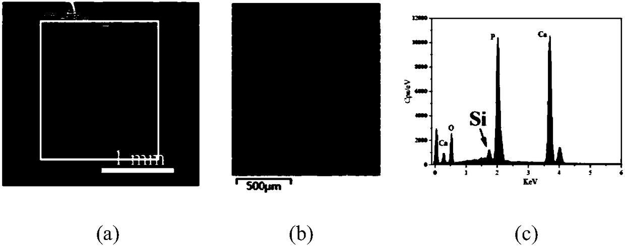 Silicon-containing grain boundary phase modified hydroxyapatite ceramic, bone injury repair material and preparation method of hydroxyapatite ceramic