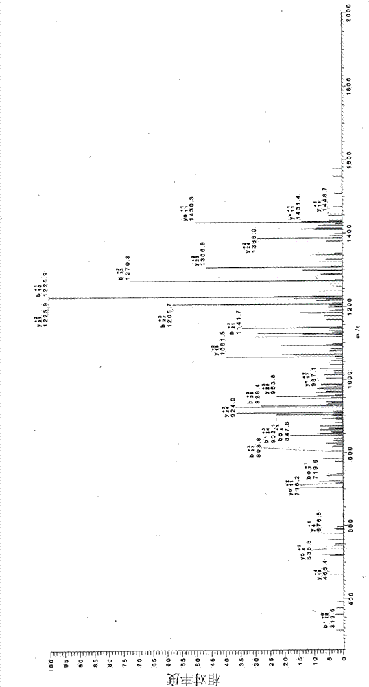 Process for the preparation of a biomass comprising plantaricin and uses thereof in medical field