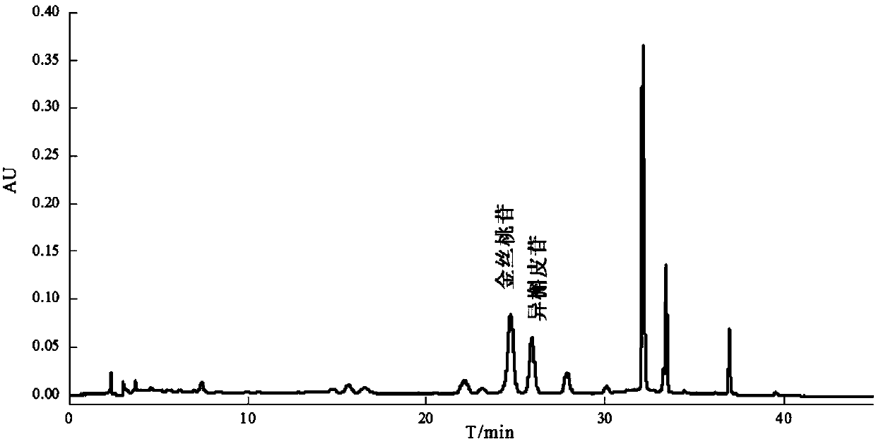 Method for separating and purifying hyperoside and isoquercitroside from aurea helianthus