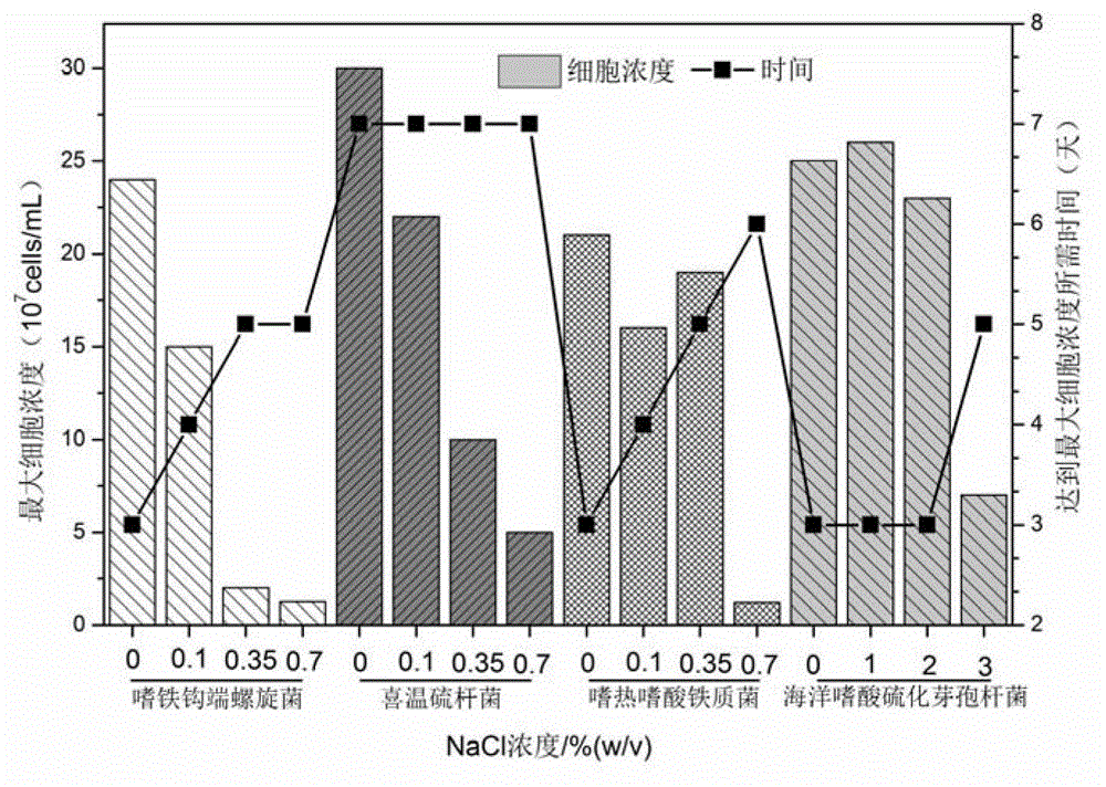 Compound bacterium community capable of efficiently leaching sulphide ore, and compounding method and application method thereof