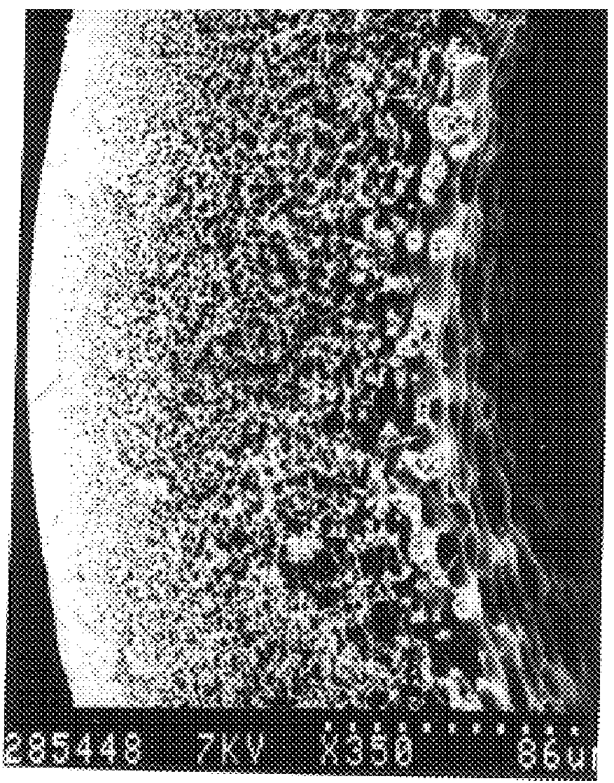 Hollow fiber type filtration membrane