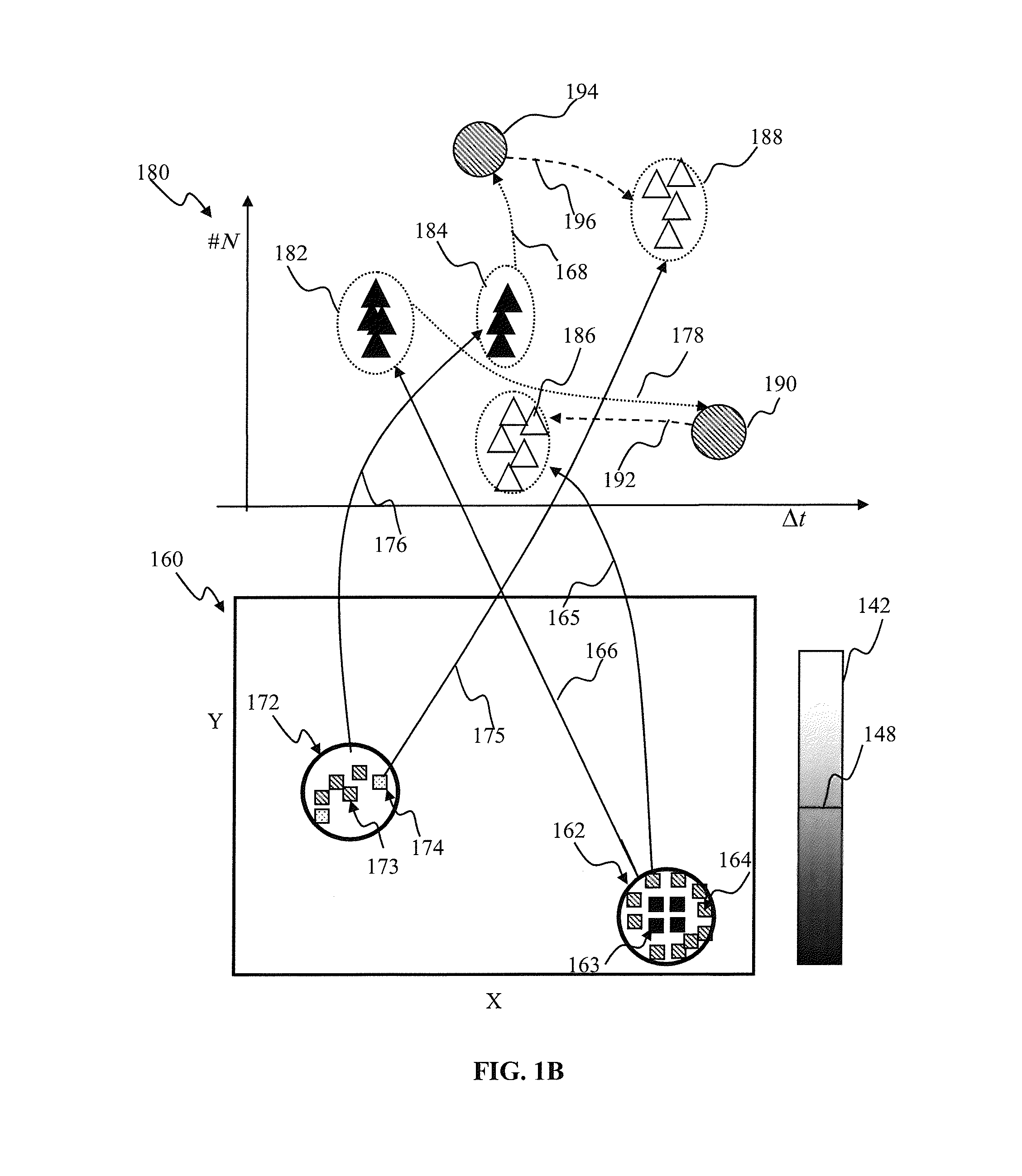 Contrast enhancement spiking neuron network sensory processing apparatus and methods